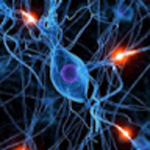 Meet your Posher, Jake